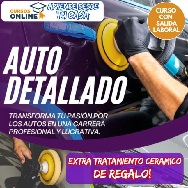 Curso Detallado Vehicular